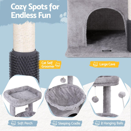 Pet Care Cartoz.