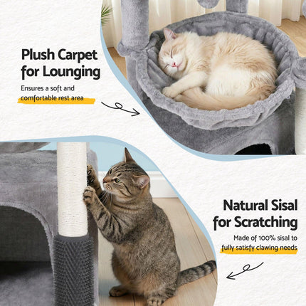 Pet Care Cartoz.