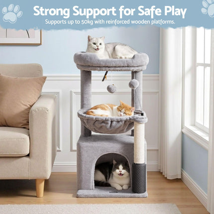 Pet Care Cartoz.