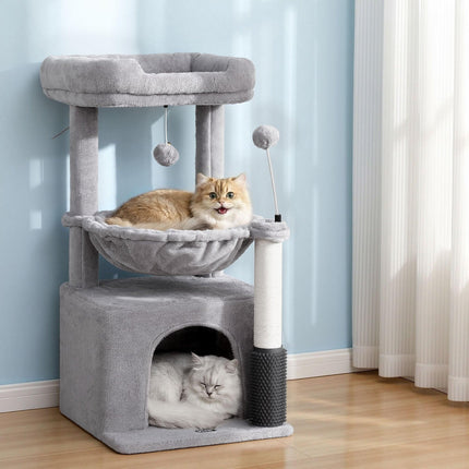 Pet Care Cartoz.
