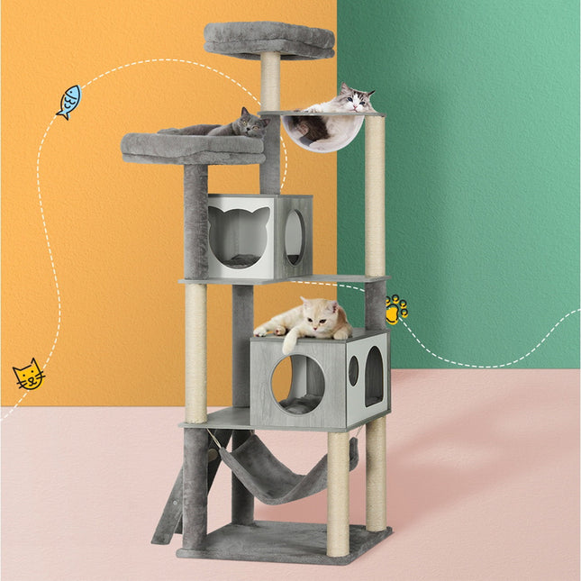 Pet Care.