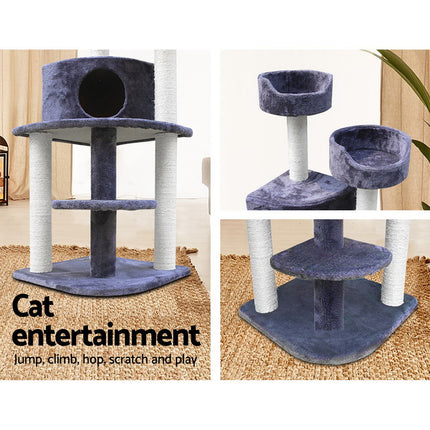 Pet Care Cartoz.