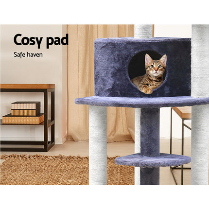 Pet Care Cartoz.