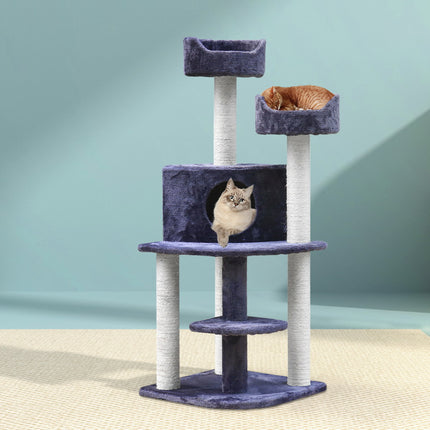 Pet Care Cartoz.