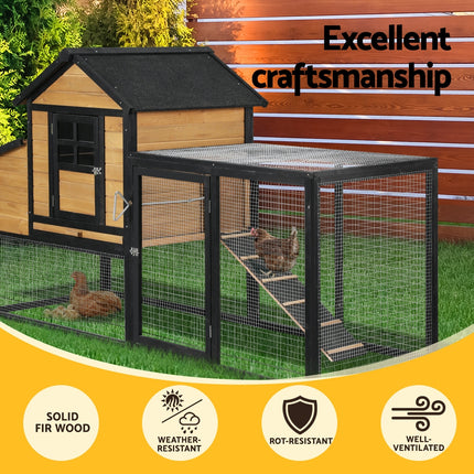 Pet Care Cartoz.