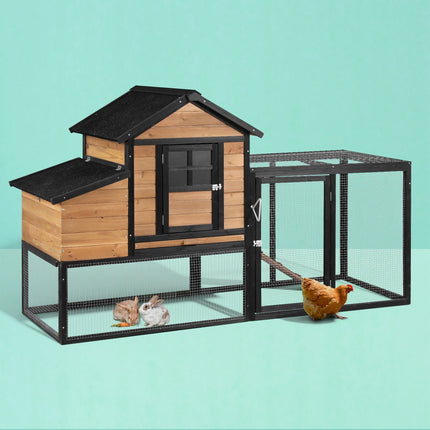 Pet Care Cartoz.