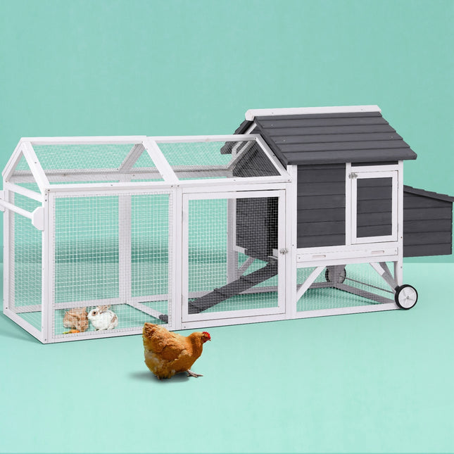 Pet Care.