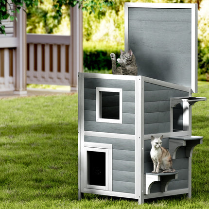 Pet Care Cartoz.
