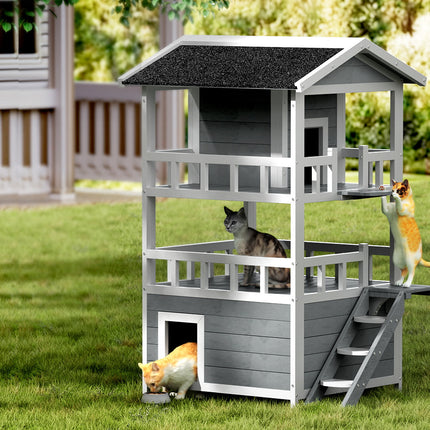 Pet Care Cartoz.