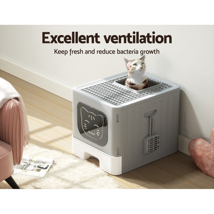 Pet Care Cartoz.