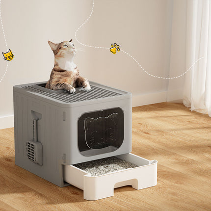 Pet Care Cartoz.