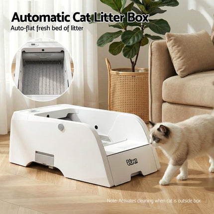 Pet Care Cartoz.