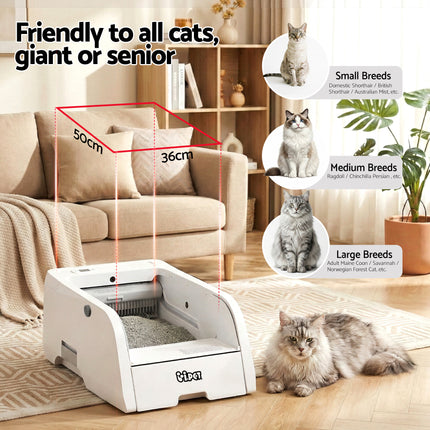 Pet Care Cartoz.