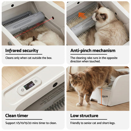 Pet Care Cartoz.
