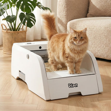 Pet Care Cartoz.