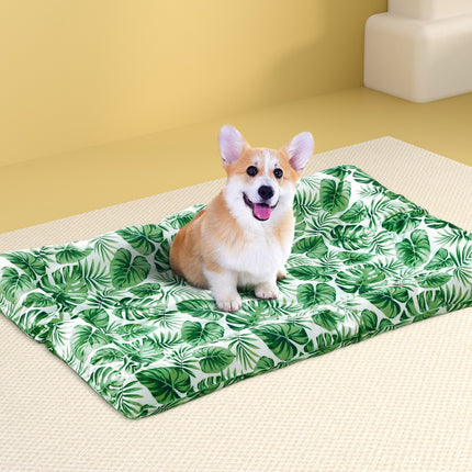 Pet Care Cartoz.