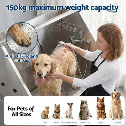 Pet Care Cartoz.