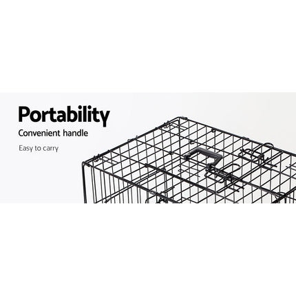 Pet Care Cartoz.
