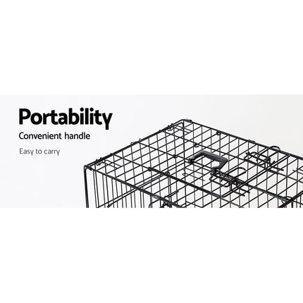 Pet Care Cartoz.