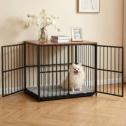 Pet Care Cartoz.