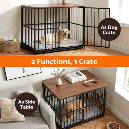 Pet Care Cartoz.
