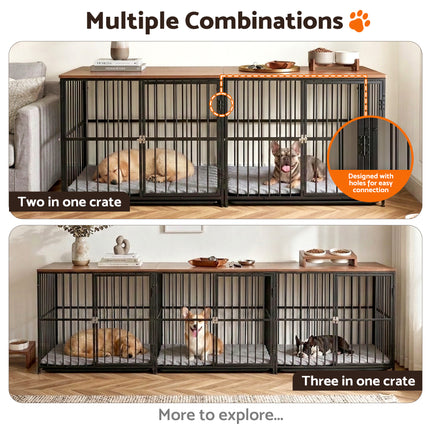 Pet Care Cartoz.