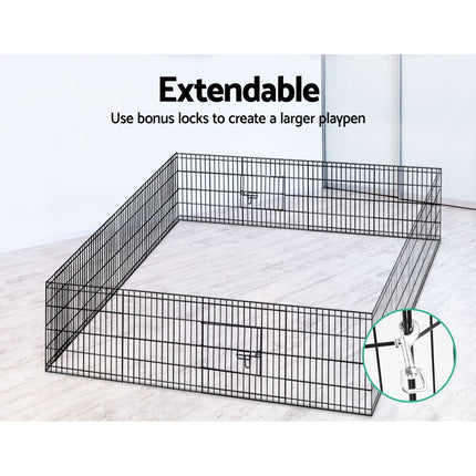 Pet Care Cartoz.