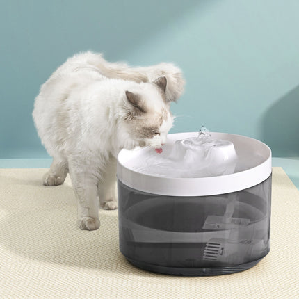 Pet Care.