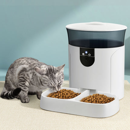 Pet Care Cartoz.