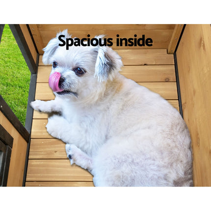 Pet Care Cartoz.