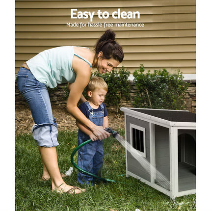 Pet Care Cartoz.