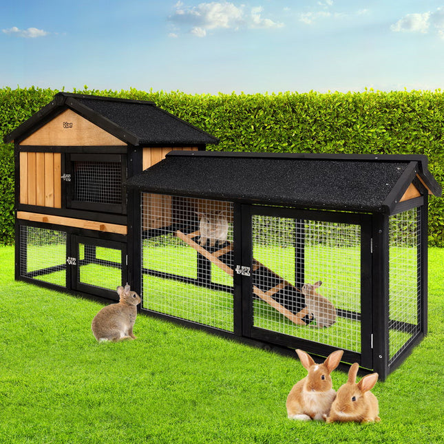 Pet Care.