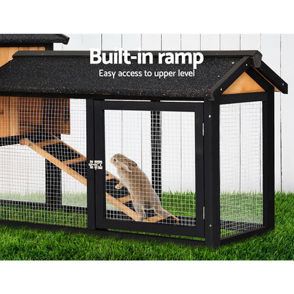 Pet Care Cartoz.