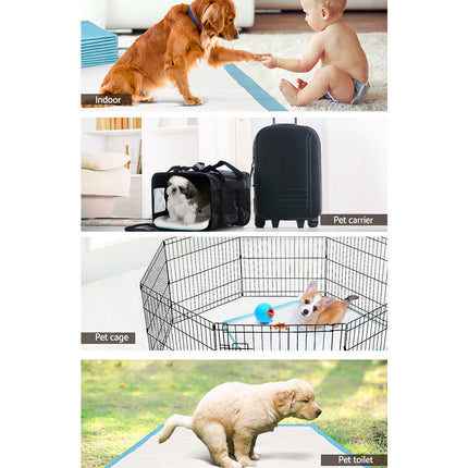 i.Pet Pet Training Pads 200pcs 60x60cm Puppy Dog Toilet Pee Indoor Super Absorbent Blue.