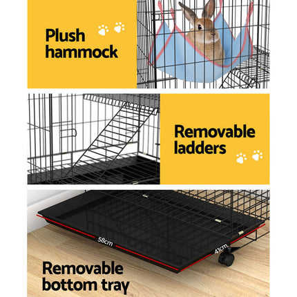 Pet Care Cartoz.