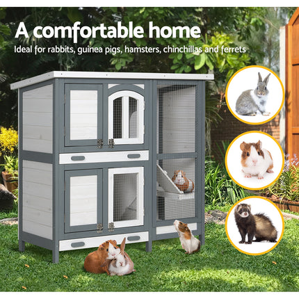 Pet Care.