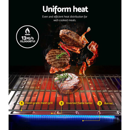 Grillz Portable Gas BBQ Grill.