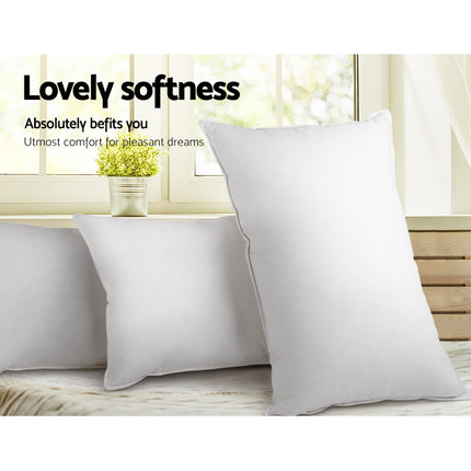 Giselle Bedding Goose Feather Down Pillow Twin Pack.