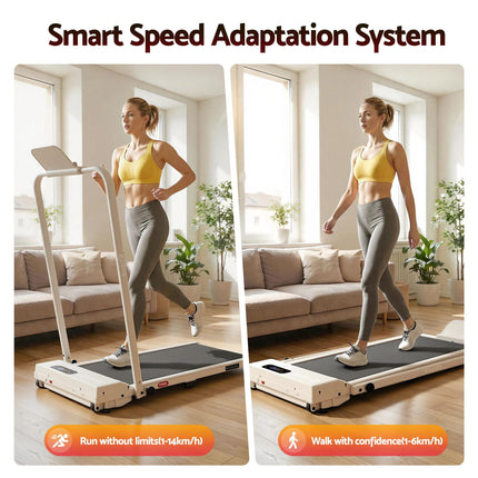 Sports & Fitness > Exercise, Gym & Fitness > Treadmills.