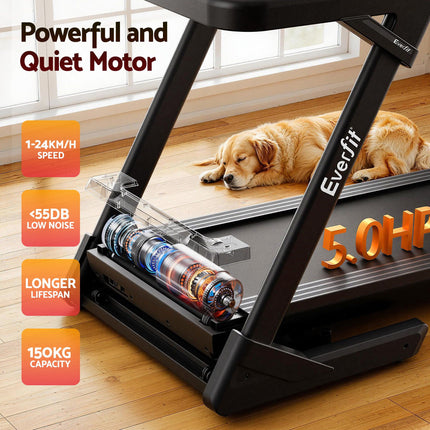 Sports & Fitness > Exercise, Gym & Fitness > Treadmills.