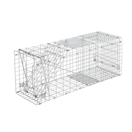 Pet Care Cartoz.