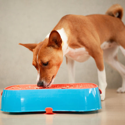 4-in-1 Slow Feeder Dog Bowl - Blue Bowl and Warm Ocean Red Lickmat.