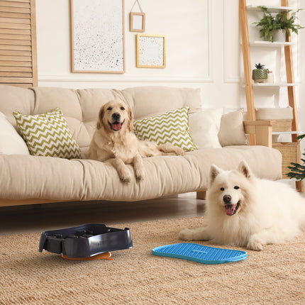 Pet Care Cartoz.