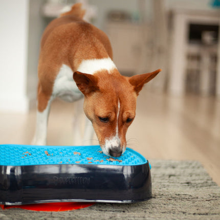 Pet Care Cartoz.
