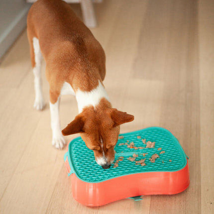 4-in-1 Slow Feeder Dog Bowl - Warm Ocean Red Bowl with Teal Lickmat.