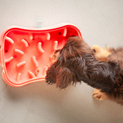 4-in-1 Slow Feeder Dog Bowl - Warm Ocean Red Bowl with Teal Lickmat.