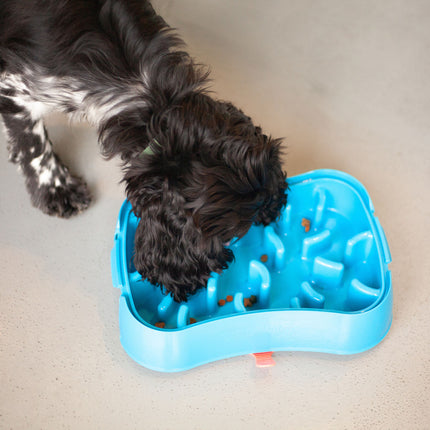 Marley Slowappy Slow Feeder  Bowl - Blue.