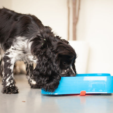 Marley Slowappy Slow Feeder  Bowl - Blue.