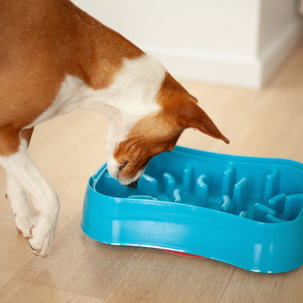 Marley Slowappy Slow Feeder  Bowl - Blue.