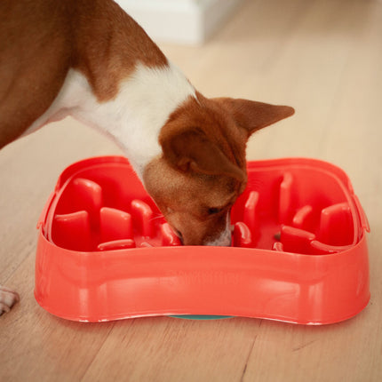 Marley Slowappy Slow Feeder  Bowl - Warm Ocean Red.